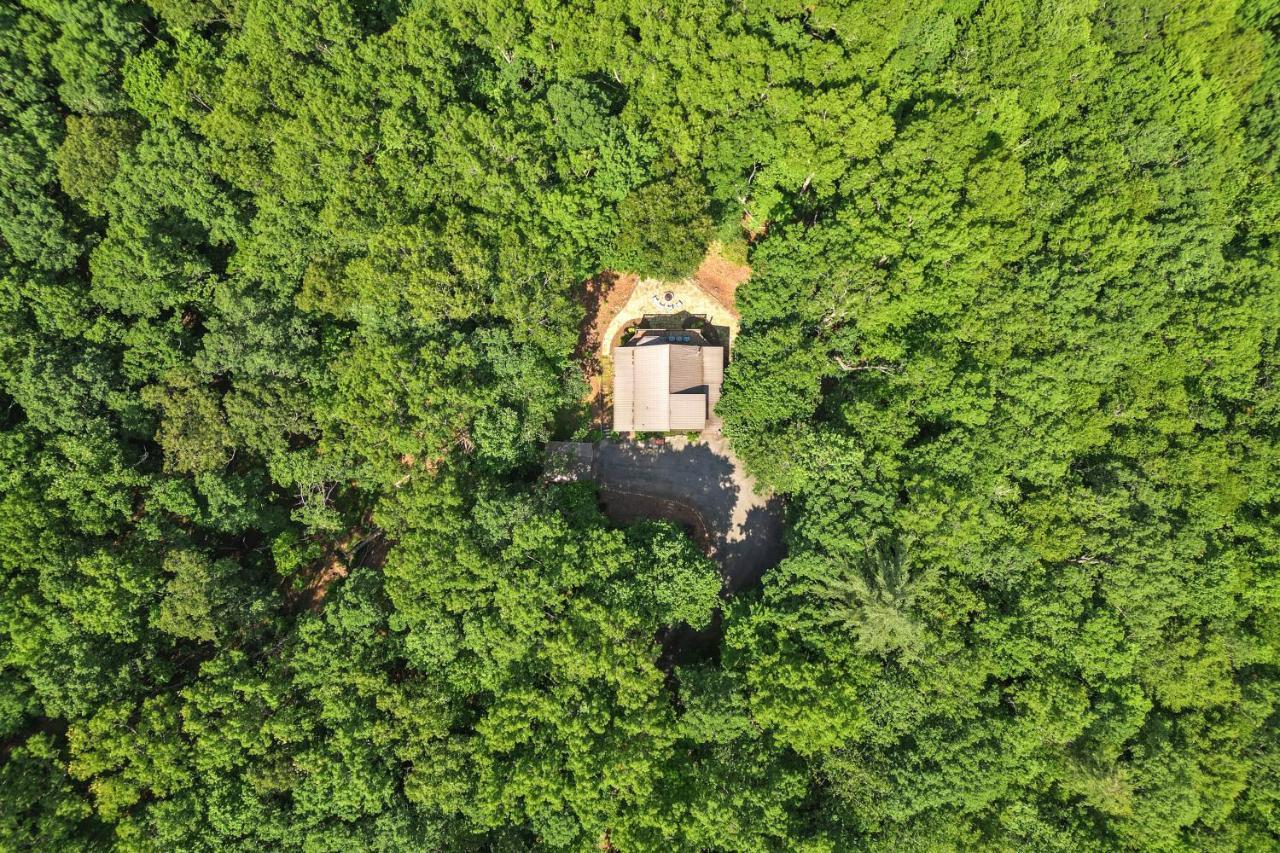 Bear Naked Bungalow بلو ريدج المظهر الخارجي الصورة
