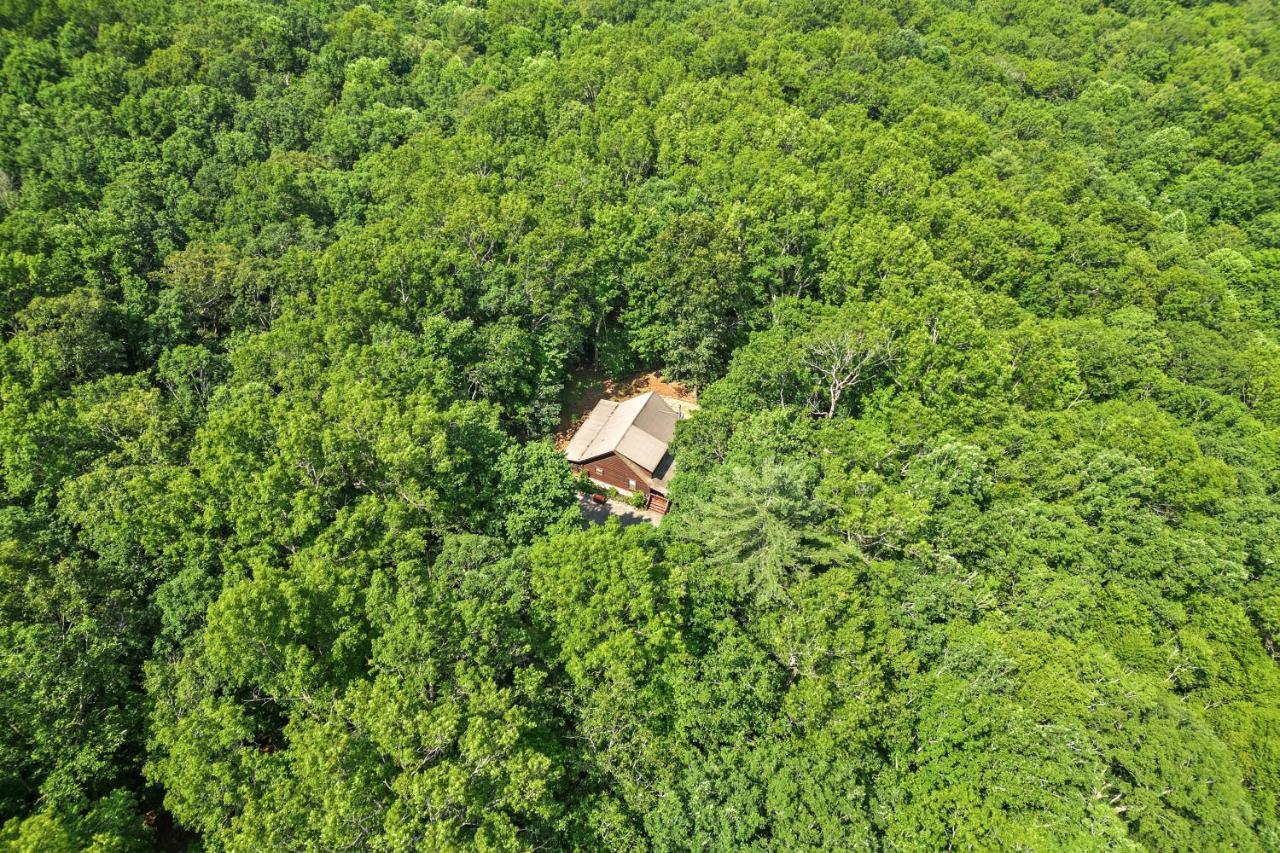 Bear Naked Bungalow بلو ريدج المظهر الخارجي الصورة